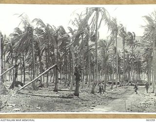 WANDOKAI, NEW GUINEA. 1944-01-01. A GENERAL VIEW OF THE AREA AFTER THE HEAVY ALLIED BOMBARDMENT