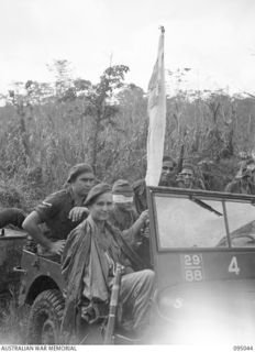 MIVO RIVER AREA, BOUGAINVILLE. 1945-08-18. SUPERIOR PRIVATE TAKESHITA, FLAGBEARER TO THE JAPANESE SURRENDER ENVOY, IN A JEEP WITH HIS WHITE FLAG, BEING TAKEN TO HEADQUARTERS 3 AUSTRALIAN DIVISION. ..