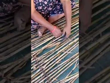 PART 4A: NAMELIMELI VILLAGE FISH TRAP MAKING - MARIA ROKODUGU SHOWS HOW TRAP IS WOVEN USING REEDS