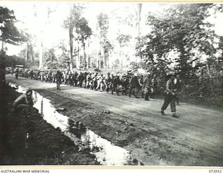 TOROKINA, BOUGAINVILLE, SOLOMON ISLANDS, 1945-09-19. JAPANESE PRISONERS OF WAR WHO WERE BROUGHT BY BARGE FROM BUIN, MARCH PAST THE CAMP OF U HEAVY BATTERY, ROYAL AUSTRALIAN ARTILLERY IN MATHESON ..