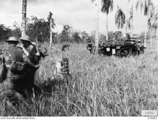 1943-01-02. PAPUA, GIROPA POINT. GENERAL STUART M3 TANKS MANNED BY 7 TROOP, B SQUADRON, 2/6TH ARMOURED REGIMENT, ATTACK JAPANESE PILLBOXES IN THE FINAL ASSAULT ON BUNA. ON THE LEFT, WOUNDED SOLDIER ..