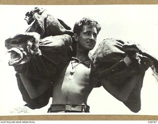 DUMPU, NEW GUINEA, 1943-10-10. NX114457 SERGEANT G.F. CUNYNGHAME OF THE 7TH AUSTRALIAN DIVISION POSTAL UNIT CARRYING BAGS OF MAIL FOR THE TROOPS OF THE 7TH AUSTRALIAN DIVISION