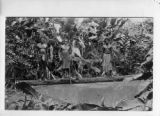 Papua New Guinea, three men stand on log
