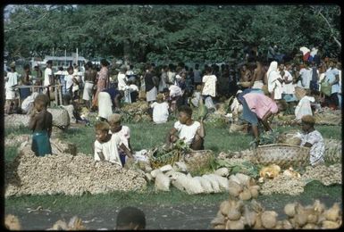 The native market (4) : Rabaul, New Britain, Papua New Guinea, 1960-1961 / Terence and Margaret Spencer