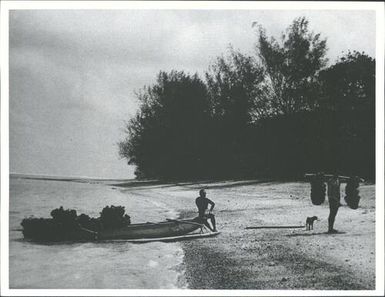 Canoe and coconuts