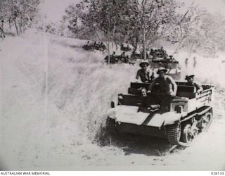 NEW GUINEA, 1942-08. BREN GUN CARRIERS MANNED BY PERSONNEL OF THE 39TH INFANTRY BATTALION, AUSTRALIAN MILITARY FORCES, PASSING THROUGH THE LONG KUNAI GRASS DURING MANOEUVRES IN THE NEW GUINEA ..