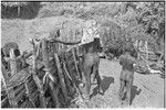 Distribution of wild pig meat: pork is handed through fence to man, larger cuts of pork on right