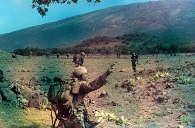 Members of the 1ST Battalion, 35th Infantry, 2nd Brigade, 25th Inanftry Division, fan out from the landing zone during an airmobile combat assault at the US Army's Pohakuloa Training Area, during training Exercise OPPORTUNE JOURNEY 4-83. The troops are wearing MILES (Mutiple Intergrated Laser Engagement System) gear. (SUBSTANDARD)