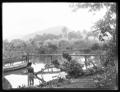 Stevenson's Hill, Apia, Samoa