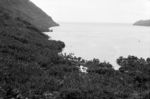 Fagaloa Bay, from road through to Falevau(panorama with image 4126)