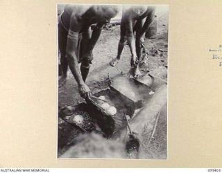 KIARIVU, NEW GUINEA, 1945-08-12. NATIVE COOKS PREPARING WHEATMEAL CAKES FRIED IN MUTTON FAT FOR AUSTRALIAN NEW GUINEA ADMINISTRATIVE UNIT NATIVES WHO ARE WORKING ON THE BUILDING OF THE AUSTRALIAN ..