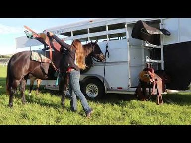 PBS Hawai‘i - HIKI NŌ Episode #1010 | Hawaii Preparatory Academy Middle | How to Saddle a Horse