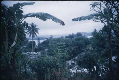 Looking from Julie Hansen's guest house : Samarai, D'Entrecasteaux Islands, Papua New Guinea, June 1956 / Terence and Margaret Spencer