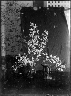 New Guinea orchid in a round vase beside a small Sepik stool, Rabaul, New Guinea, ca. 1929 / Sarah Chinnery