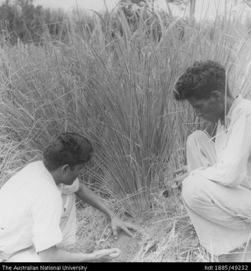 Soil conservation, Moto Estate