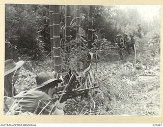 ALEXISHAFEN, NEW GUINEA. 1944-05-18. A MORTAR CREW FROM NO.9 PLATOON, A COMPANY, 35TH INFANTRY BATTALION ADVANCING ALONG A TRACK NEAR YELBECK MISSION. IN THE LEFT FOREGROUND WITH RIFLE AND BREN GUN ..