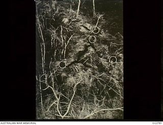 BOUGAINVILLE ISLAND, SOLOMON ISLANDS. 1945-06-04. JAPANESE TROOPS (POSITIONS MARKED WITH FOUR CIRCLES) IN THEIR TRENCHES TAKING SHELTER FROM A STRAFING ATTACK BY BOOMERANG AIRCRAFT OF NO. 5 ..