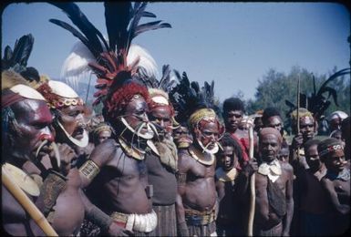Fully decorated men (4) : The Tengerap Clan Singsing, Wahgi Valley, Papua New Guinea, 1954 / Terence and Margaret Spencer