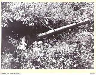 PRAED POINT, NEW BRITAIN, 1945-09-15. AUSTRALIAN SOLDIERS OF 37/52 INFANTRY BATTALION GUARDING A 6-INCH BRITISH NAVAL GUN AT PRAED POINT FORTRESS. IDENTIFIED PERSONNEL ARE:- PRIVATE E A LANGDON ..