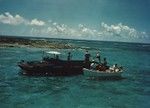 Laying cable from DUKW landing craft, Cherrete Island, Bikini Atoll. Capricorn Expedition, October 1952