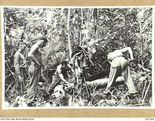 MILNE BAY, NEW GUINEA. 1943-06-30. TROOPS OF THE 2/3RD DOCKS OPERATING COMPANY, ROYAL AUSTRALIAN ENGINEERS, CUTTING LOGS IN THE JUNGLE. SHOWN ARE:- NX82775 CORPORAL E. BROGDEN - EXTREME LEFT; ..