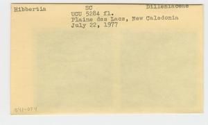 [Hibbertia in New Caledonia, envelope IE41-074]