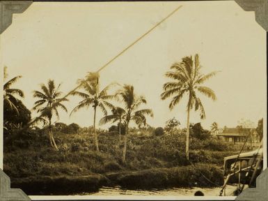 On the Adikeva in the Canal, 1928