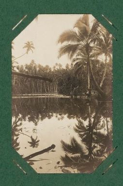 Lagoon and fish farm, Naoero.  From the album: Banaba (Ocean Island)