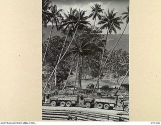 MILNE BAY, PAPUA, 1944-03-04. ARMY TRUCKS AT LYAL WHARF WAITING TO PICK UP AUSTRALIAN TROOPS ARRIVING FROM TOWNSVILLE, QUEENSLAND