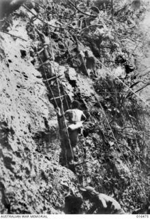 22 JANUARY 1944. NEW GUINEA. NATIVE CARRIERS CLIMB A ROPE LADDER ON GNEISENAU POINT IN THE KAPUGARA RIVER AREA. THERE IS A SHEER DROP OF 100 FEET BELOW THE LADDER