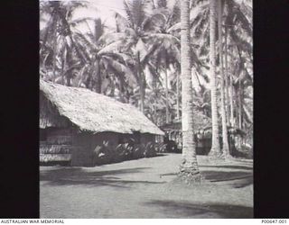MILNE BAY, PAPUA, C.1942 - 43. CO'S QUARTERS AND THE MESS AT NO. 37 RAAF RADAR STATION. (DONOR - T.G. JONES)