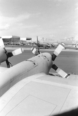 A ground crewman services an engine of a Naval Air Reserve Patrol Squadron 64 (VP-64) P-3 Orion aircraft during active duty training