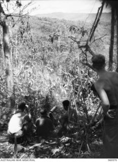 SATTELBERG AREA, NEW GUINEA. 1943-11-15. A VICKERS GUN, MANNED BY TROOPS OF HEADQUARTERS COMPANY 2/24TH. AUSTRALIAN INFANTRY BATTALION, FIRING ON JAPANESE POSITIONS. SHOWN ARE: VX42505 PRIVATE A. ..