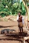 James Liu presents a boar