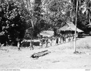 ULUGUDU, NEW GUINEA, 1943-10-23. LINE OF THE AUSTRALIAN AND NEW GUINEA ADMINISTRATIVE UNIT NATIVE CARRIER BOYS. THE FIRST TWO LOADS ARE CAPTURED JAPANESE MATERIAL