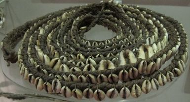 Cowrie chain