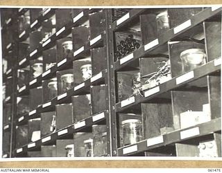 PORT MORESBY, NEW GUINEA. 1943-12-07. BINS IN THE ORDNANCE STORE OF THE NO. 3 SUB DEPOT, 10TH AUSTRALIAN ADVANCED ORDNANCE DEPOT