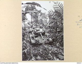 TOROKINA AREA, BOUGAINVILLE. 1945-07-28. AN M24 GENERAL CHAFFEE LIGHT TANK, UNDERGOING TESTS FOR THE WAR OFFICE, VIEWED FROM THE FRONT WHILE CLIMBING A FALLEN TREE THREE FEET IN DIAMETER