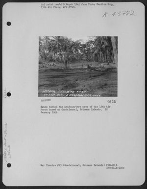 [No caption entered] (U.S. Air Force Number 3A43782)