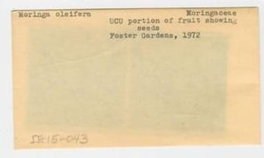 [Moringa oleifera in Hawaii, envelope IE15-043]
