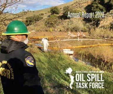 2020 Annual report
