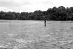 Man setting net