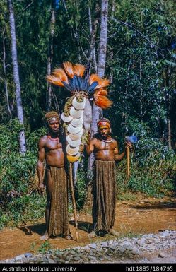 Chimbu - Mt Hagen - bride price in shells