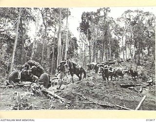 REPORTS FROM NEW GUINEA TELL OF THE SPLENDID PART PLAYED BY AUSTRALIAN ARTILLERY UNITS IN RECENT OPERATIONS AGAINST THE JAPANESE. THIS PICTURES GIVES SOME INDICATION OF THE TREMENDOUS TASK THAT ..