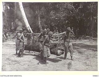 FAURO ISLAND, BOUGAINVILLE AREA. 1945-11-12. JAPANESE WORKING PARTY CARRYING A COCONUT LOG WHILE CLEARING A CAMP AREA FOR 7 INFANTRY BATTALION. JAPANESE ARMY AND NAVAL TROOPS ARE CONCENTRATED ON ..