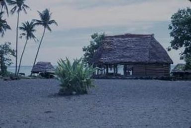 [Thatched dwellings in Safotu, Samoa]