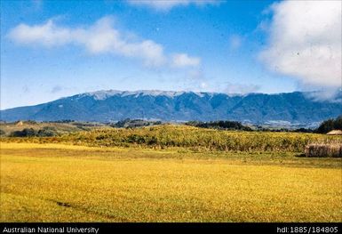 Chimbu - Mt Hagen - Ogelbeng, Mt Hagen