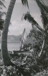 An outrigger canoe with a sail, Leeward Islands (French Polynesia)