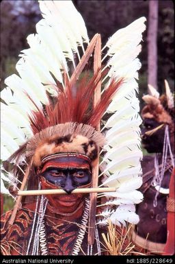 Febi man wearing a white (Sulphur-crested) cockatoo-feather headdress