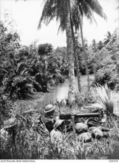 FINSCHHAFEN AREA, NEW GUINEA, 1943-10-28. NX57546 PRIVATE E.H. GEORGE (1), LEFT, AND NX17304 PRIVATE G.P. GRAHAM (RIGHT) (2), BOTH OF THE 2/2ND AUSTRALIAN MACHINE GUN BATTALION, MANNING A VICKERS ..